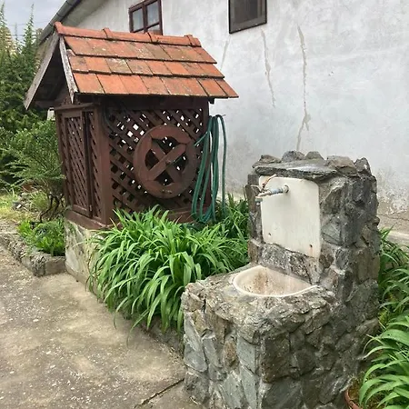 K 99, Karadjordjeva 99, Bela Crkva Daire