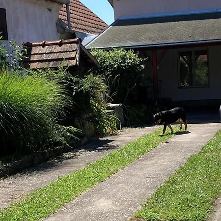 K 99, Karadjordjeva 99, Bela Crkva Daire *