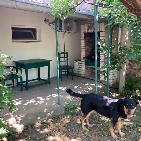 Daire K 99, Karadjordjeva 99, Bela Crkva Bela Crkva (Banat)